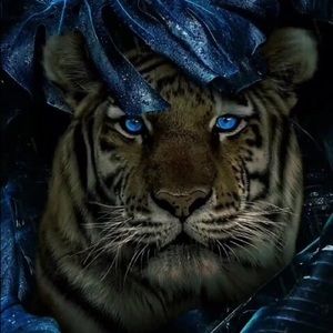 Meet your Posher, Ali